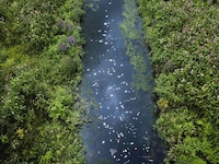Chalk Streams Exhibits Image 2