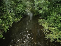 Chalk Streams Exhibits Image 4
