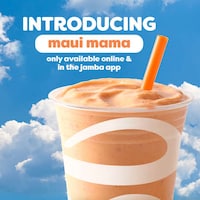Blended Pineapple Juice Smoothies Image 1