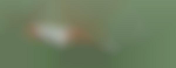Preppy Tennis-Ready Apparel
