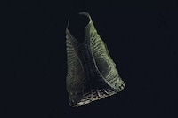 Recyclable Mono-Material Footwear Image 3