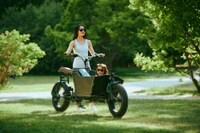 Gear-Hauling Electric Bikes Image 2
