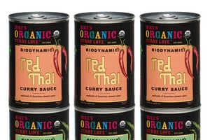 Biodynamic Curry Sauces Article Thubnail