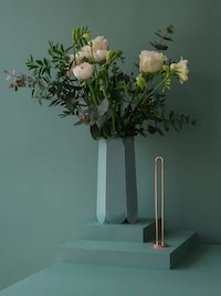 Self-Cleansing Antimicrobial Vases Image 1