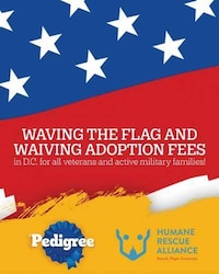 Free Dog Adoption Campaigns