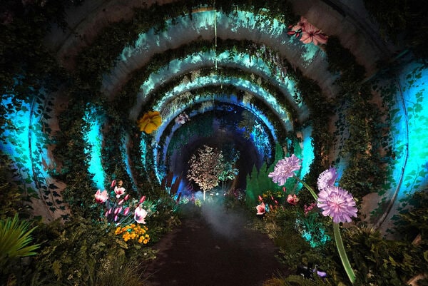 Subterranean Garden Installations