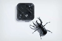 Haute Hi-Res Audio Earbuds Image 7