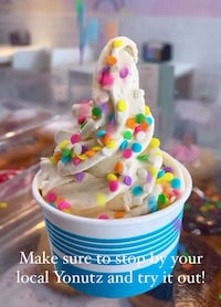 Blended Donut Ice Creams Image 2
