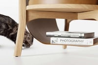 Posh Pet-Friendly Chair Designs Image 2