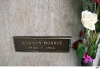 Celebrity Grave Neighbours