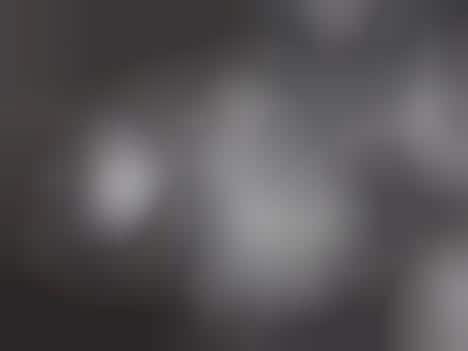 Suppose Design Office Turns the Diesel Denim Gallery to a Nature Factory