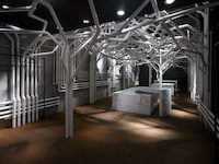 Pipe Branch Architecture Image 5