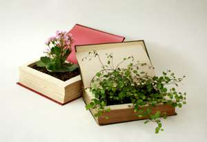 Books as Flower Pots