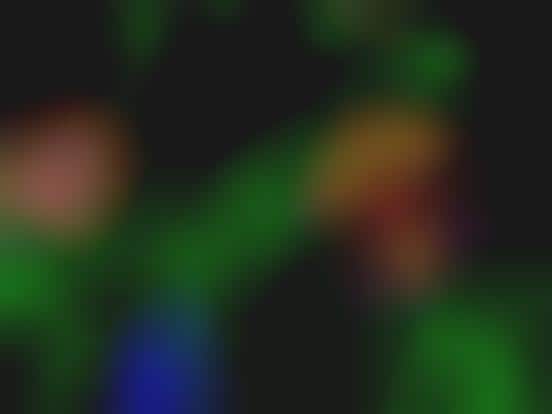 Neon Light Wallpapers