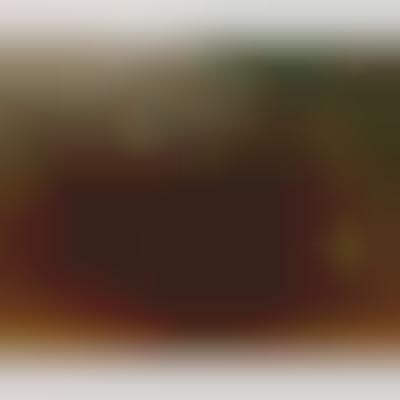 cat feeding enclosure