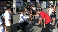 Magic Wedding Proposals Image 2