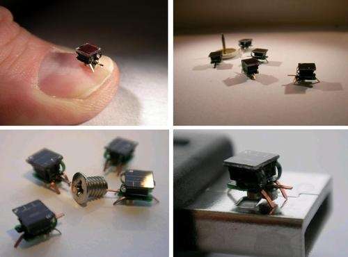 Flea-Sized Robots