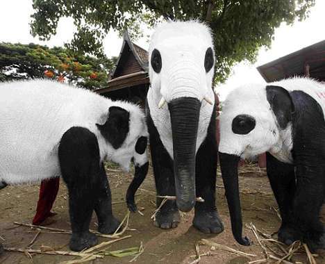 25 Zoo Innovations
