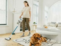 Luxe Low-Cost Vacuum Cleaners Image 1