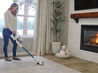 Luxe Low-Cost Vacuum Cleaners Image 7