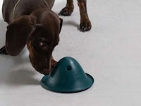 Instinct-Stimulating Dog Toys Image 3
