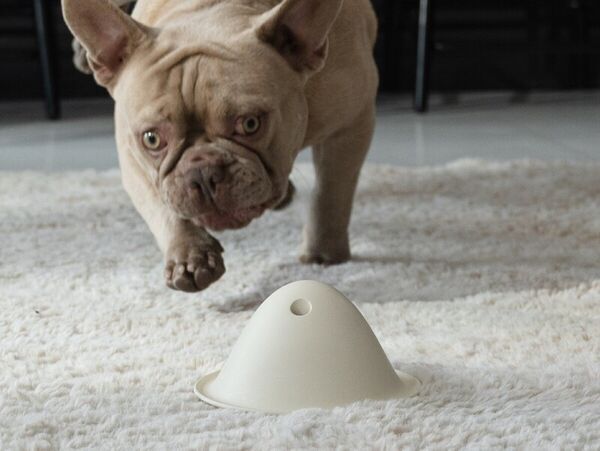 Instinct-Stimulating Dog Toys : Flevo Bowly