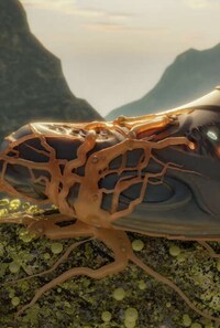 Nature-Inspired Perforated Footwear Image 3