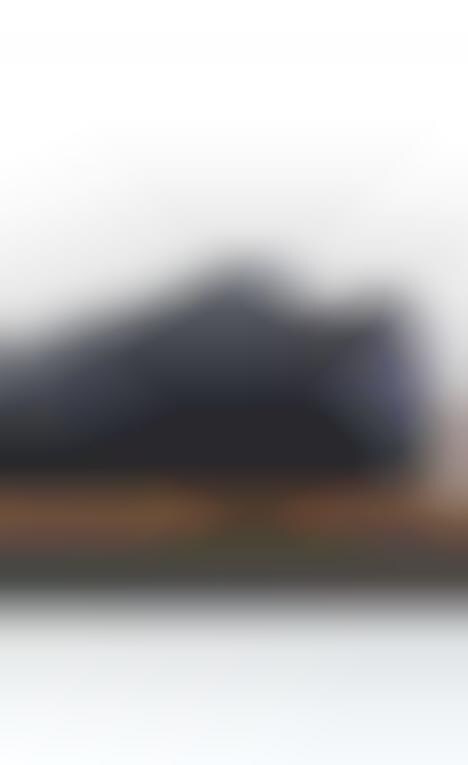 Earthy Tonal Timeless Sneakers