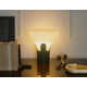 Plant-Based Table Lamps Image 2