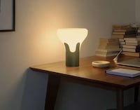 Plant-Based Table Lamps Image 3