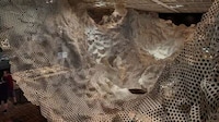 Cave-Inspired Installations Image 6