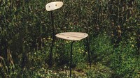 Naturalistic Stainable Seat Designs Image 4