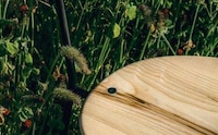 Naturalistic Stainable Seat Designs Image 6