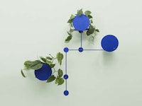 Vibrant Dynamic Wall Plant-Hangers Image 2