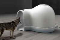 Cooling Igloo-Shaped Dog Houses Image 5