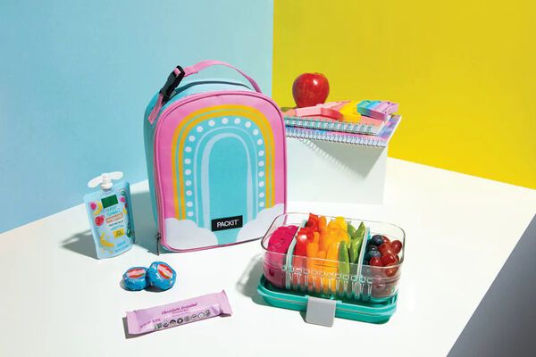 Vibrant Freezable Lunch Boxes : Freezable Lunch Boxes