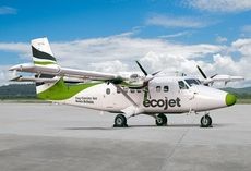 Eco-Friendly Aviation Startups Article Thubnail