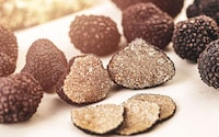 Fungi-Sourced Sweeteners Image 1