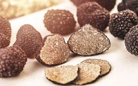 Fungi-Sourced Sweeteners