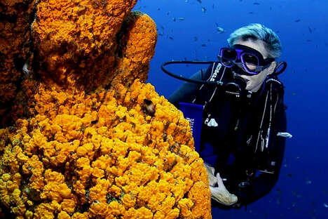 Scuba-Centric Reading Glasses