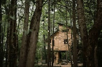 Solar Powered Luxe Treehouses Image 2