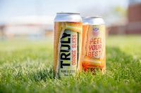 Nostalgic Citrus Seltzers