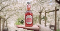 Raspberry-Infused Botanical Lemonades Image 1
