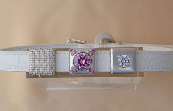 Ultra-Luxurious Pet Collars
