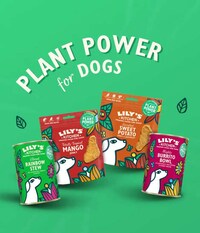 Dog-Friendly Burrito Bowls Image 2
