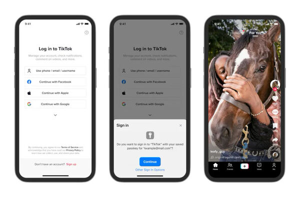 Secure TikTok Updates