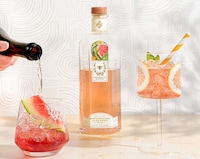 Fruit-Forward Summertime Gins Image 1