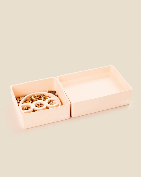 Modern Dog Bowl Sets