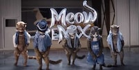 Feline Boy Band Ads