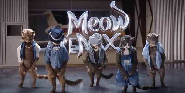 Feline Boy Band Ads